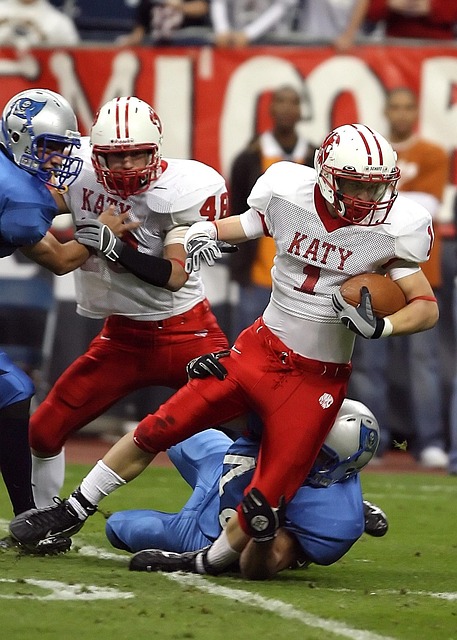 未来展望 未来展望